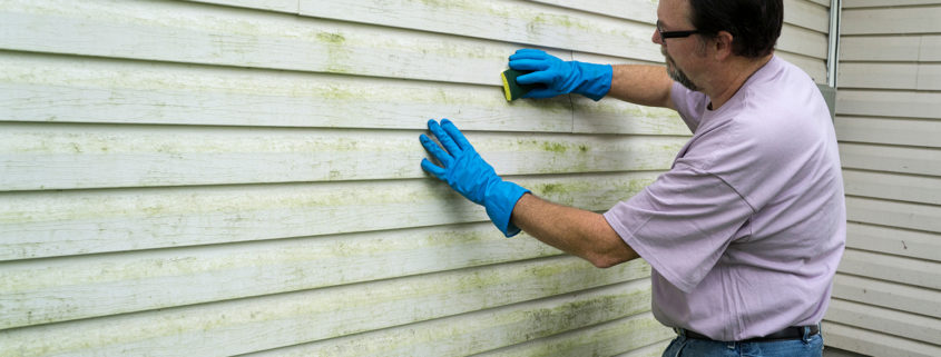 Person cleaning their vinyl siding.
